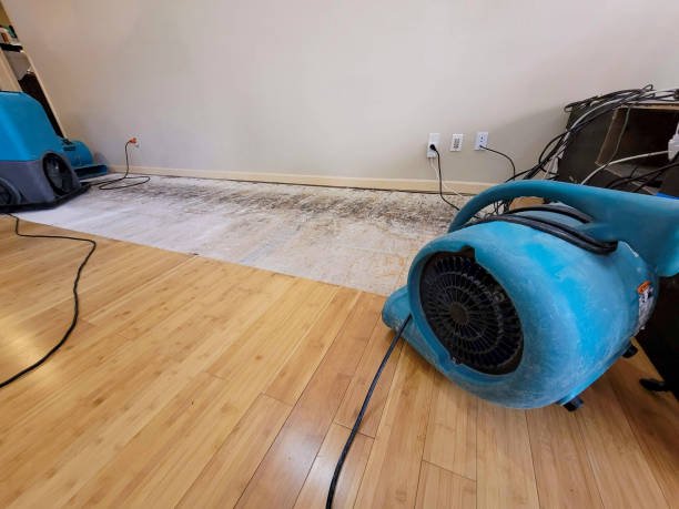 Professional Structural Drying technician working in Wauseon, OH
